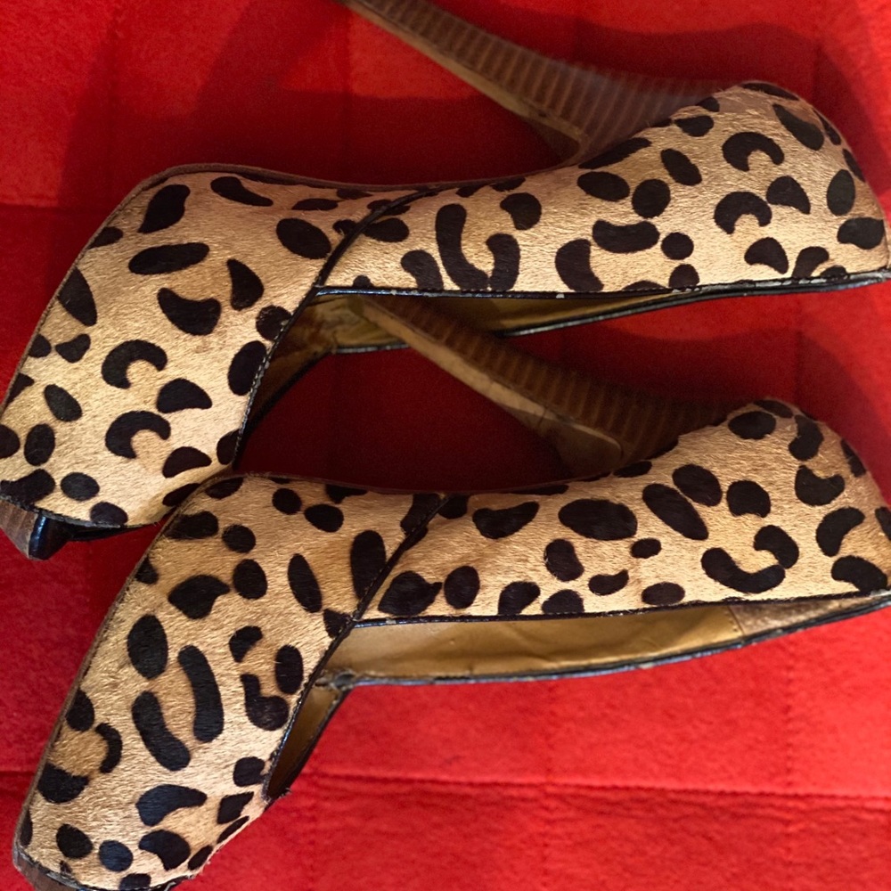 Steve Madden Leopard Heels